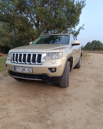 Jeep Grand Cherokee cena 62500 przebieg: 231000, rok produkcji 2011 z Poznań małe 121